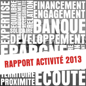 Rapport d'activités 2013