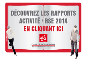 RAPPORTS D'ACTIVITÉ ET RSE 2014 1