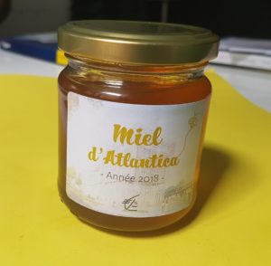 Pot de miel Atlantica