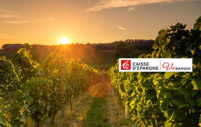 1er Prêt à Impact viticulture avec Vitibanque