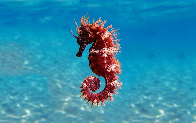 Pour la biodiversité, chaque voix compte !